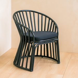 Rainforest Canopy Chair